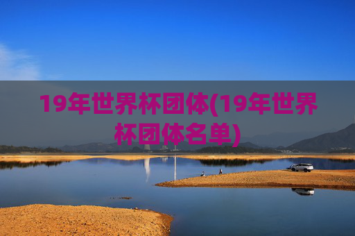 19年世界杯团体(19年世界杯团体名单)
