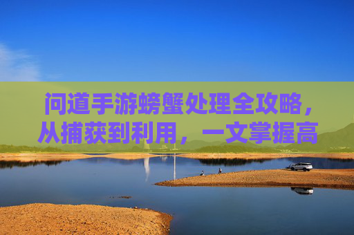 问道手游螃蟹处理全攻略,从捕获到利用,一文掌握高效方法