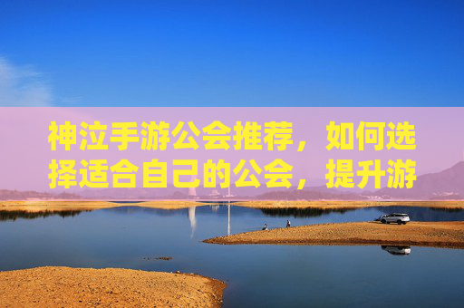神泣手游公会推荐,如何选择适合自己的公会,提升游戏体验