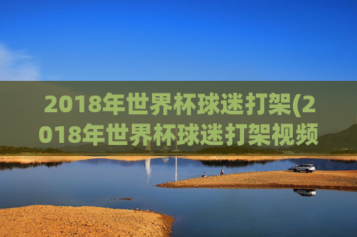 2018年世界杯球迷打架(2018年世界杯球迷打架视频)