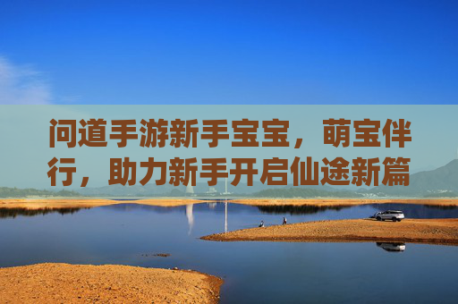 问道手游新手宝宝，萌宝伴行，助力新手开启仙途新篇章，问道手游新手萌宝伴行，助力开启仙途新篇章