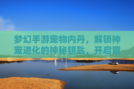 梦幻手游宠物内丹,解锁神宠进化的神秘钥匙,开启冒险新篇章,梦幻手游宠物内丹,解锁神宠进化,开启冒险新篇章