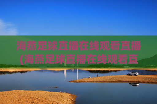 海燕足球直播在线观看直播(海燕足球直播在线观看直播回放)