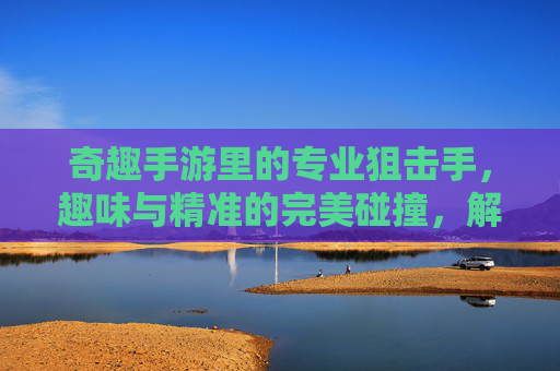 奇趣手游里的专业狙击手,趣味与精准的完美碰撞,解锁沉浸式射击新体验,奇趣狙击手,趣味与精准的完美碰撞,解锁沉浸式射击新体验