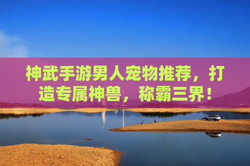神武手游男人宠物推荐,打造专属神兽,称霸三界!