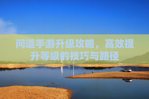 问道手游升级攻略，高效提升等级的技巧与路径