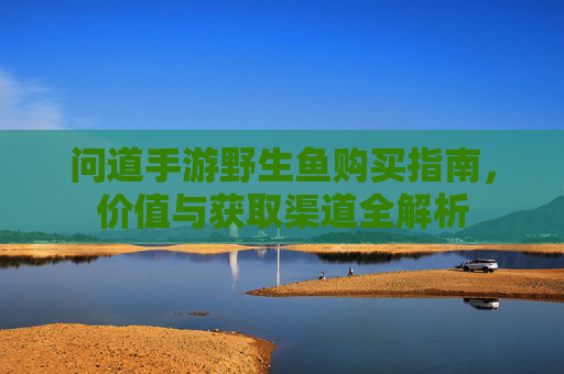 问道手游野生鱼购买指南,价值与获取渠道全解析