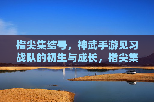 指尖集结号，神武手游见习战队的初生与成长，指尖集结号，神武手游见习战队的初生与成长