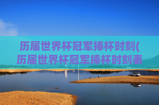 历届世界杯冠军捧杯时刻(历届世界杯冠军捧杯时刻表)