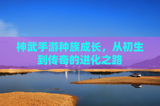 神武手游种族成长,从初生到传奇的进化之路
