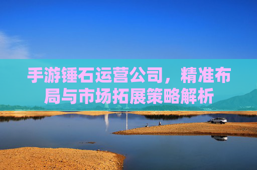 手游锤石运营公司，精准布局与市场拓展策略解析