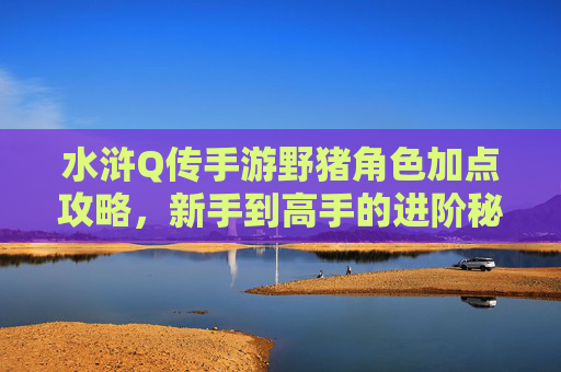 水浒Q传手游野猪角色加点攻略,新手到高手的进阶秘籍