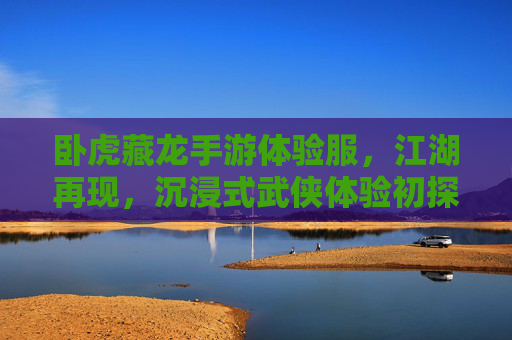 卧虎藏龙手游体验服,江湖再现,沉浸式武侠体验初探,卧虎藏龙手游体验服,江湖再现,沉浸式武侠体验初探
