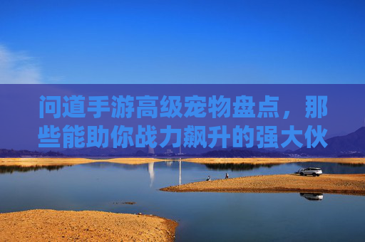 问道手游高级宠物盘点，那些能助你战力飙升的强大伙伴，问道手游高级宠物盘点，助你战力飙升的强大伙伴