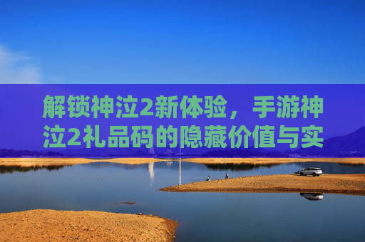 解锁神泣2新体验,手游神泣2礼品码的隐藏价值与实用攻略