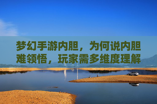 梦幻手游内胆,为何说内胆难领悟,玩家需多维度理解,梦幻手游内胆,为何难领悟?玩家需多维度理解其精髓