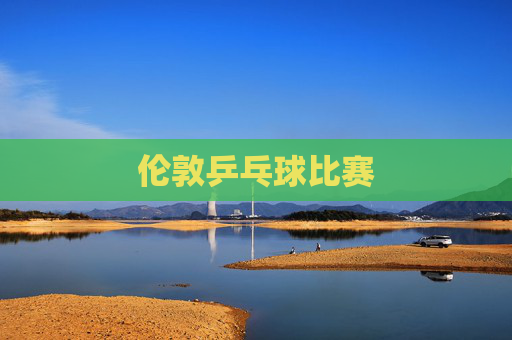 伦敦乒乓球比赛