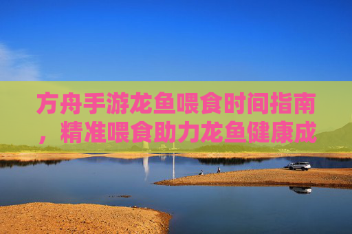 方舟手游龙鱼喂食时间指南,精准喂食助力龙鱼健康成长,方舟手游龙鱼喂食时间指南,精准喂食助力龙鱼健康成长