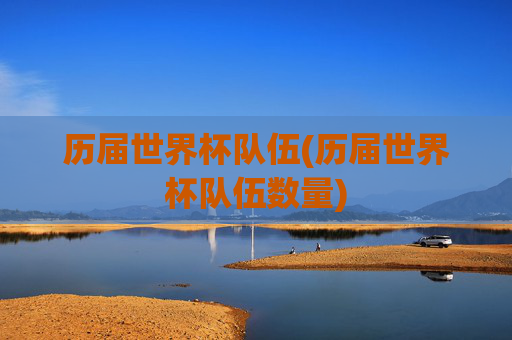历届世界杯队伍(历届世界杯队伍数量)
