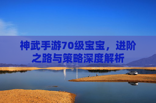 神武手游70级宝宝,进阶之路与策略深度解析