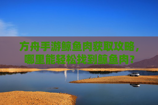 方舟手游鲸鱼肉获取攻略,哪里能轻松找到鲸鱼肉?