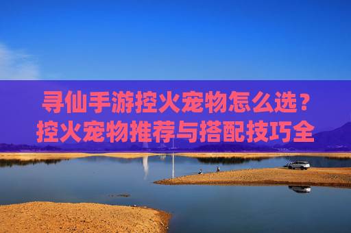 寻仙手游控火宠物怎么选?控火宠物推荐与搭配技巧全解析