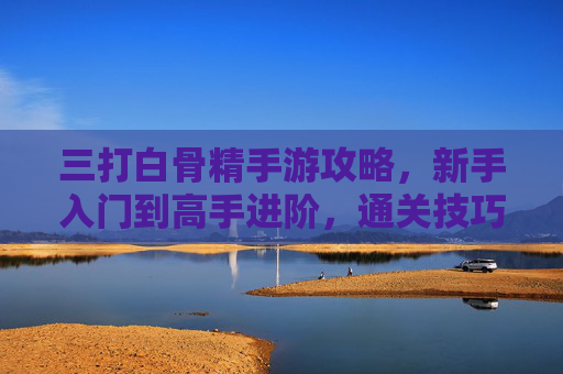 三打白骨精手游攻略,新手入门到高手进阶,通关技巧全解析