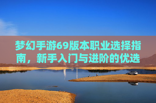 梦幻手游69版本职业选择指南，新手入门与进阶的优选职业分析