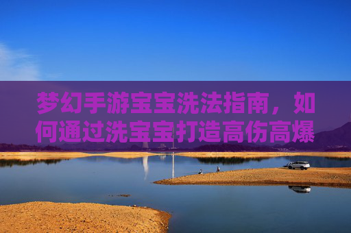 梦幻手游宝宝洗法指南,如何通过洗宝宝打造高伤高爆的终极配置