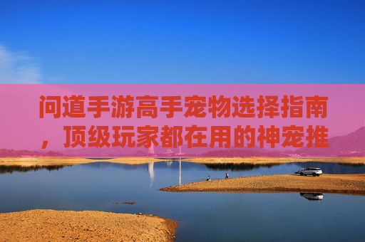 问道手游高手宠物选择指南,顶级玩家都在用的神宠推荐与策略解析