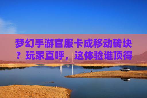 梦幻手游官服卡成移动砖块？玩家直呼，这体验谁顶得住？梦幻手游官服卡成移动砖块？玩家直呼，这体验谁顶得住？