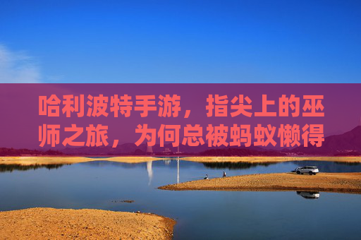 哈利波特手游,指尖上的巫师之旅,为何总被蚂蚁懒得说调侃?——当魔法世界遇上商业化操作