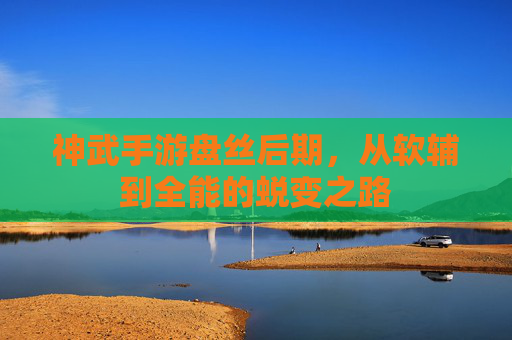 神武手游盘丝后期,从软辅到全能的蜕变之路
