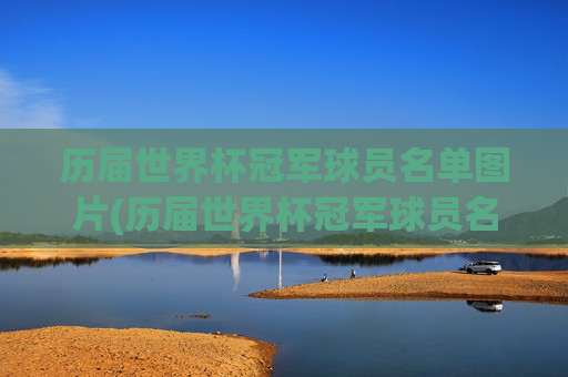 历届世界杯冠军球员名单图片(历届世界杯冠军球员名单图片大全)