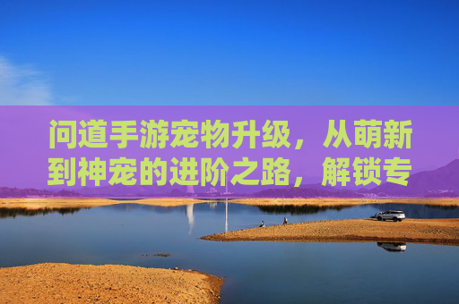 问道手游宠物升级,从萌新到神宠的进阶之路,解锁专属技能与强大战力!问道手游宠物进阶,从萌新到神宠,解锁专属技能与强大战力