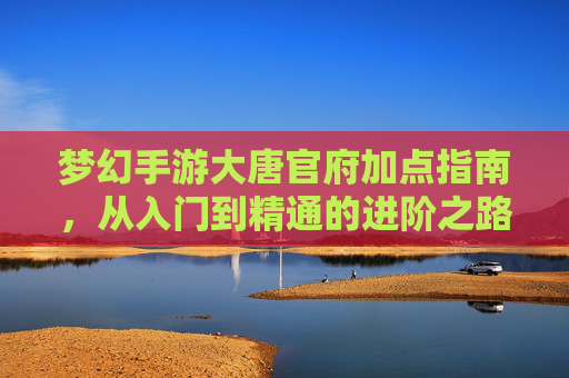 梦幻手游大唐官府加点指南,从入门到精通的进阶之路