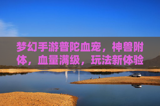 梦幻手游普陀血宠,神兽附体,血量满级,玩法新体验,梦幻手游普陀血宠,神兽附体血量满级,玩法焕新体验