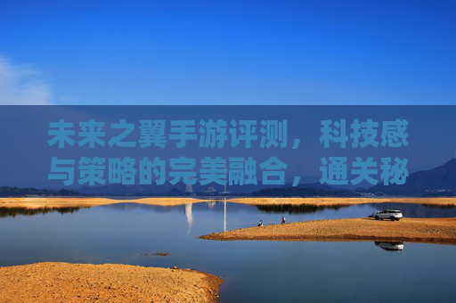 未来之翼手游评测,科技感与策略的完美融合,通关秘籍与体验解析,未来之翼手游评测,科技感与策略的完美融合,通关秘籍与深度体验解析