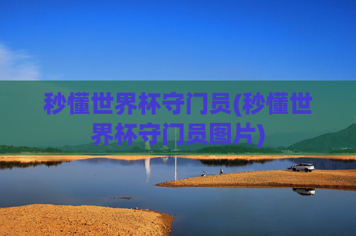 秒懂世界杯守门员(秒懂世界杯守门员图片)