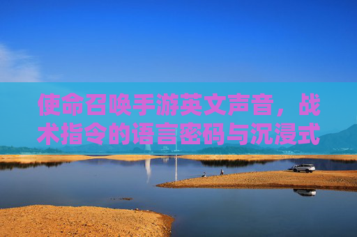 使命召唤手游英文声音,战术指令的语言密码与沉浸式体验的催化剂,使命召唤手游英文声音,战术指令的语言密码与沉浸式体验的催化剂