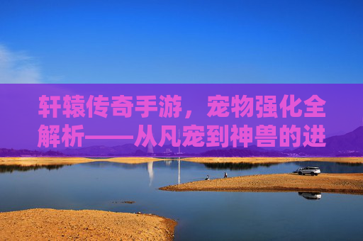 轩辕传奇手游，宠物强化全解析——从凡宠到神兽的进阶之路，轩辕传奇手游宠物强化全解析，从凡宠到神兽的进阶之路
