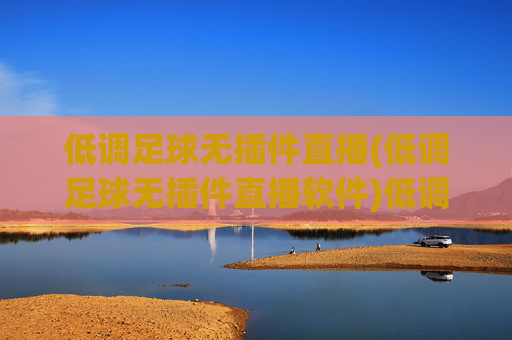 低调足球无插件直播(低调足球无插件直播软件)低调足球无插件直播,足球赛事专用无插件直播软件