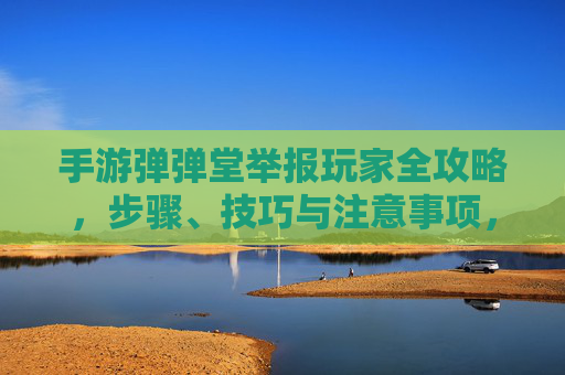 手游弹弹堂举报玩家全攻略,步骤、技巧与注意事项,手游弹弹堂举报玩家全攻略,步骤、技巧与注意事项