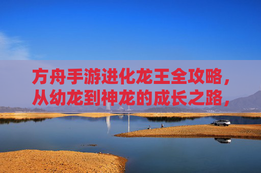 方舟手游进化龙王全攻略，从幼龙到神龙的成长之路，方舟手游进化龙王全攻略，从幼龙到神龙的成长之路