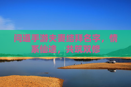 问道手游夫妻结拜名字,情系仙途,共筑双修