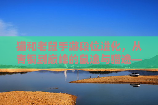 猫和老鼠手游段位进化,从青铜到巅峰的鼠途与猫途——操作、意识与策略的进阶之路,猫和老鼠手游段位进化,从青铜到巅峰的鼠途与猫途——操作、意识与策略的进阶之路