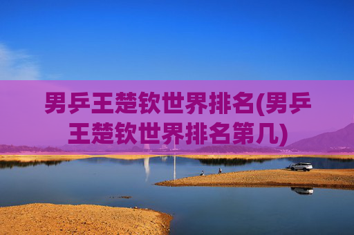 男乒王楚钦世界排名(男乒王楚钦世界排名第几)