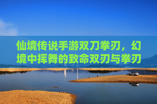 仙境传说手游双刀拳刃,幻境中挥舞的致命双刃与拳刃战舞者,仙境传说手游双刀拳刃,幻境中挥舞的致命双刃与拳刃战舞者