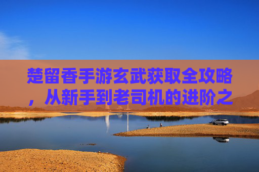 楚留香手游玄武获取全攻略，从新手到老司机的进阶之路，楚留香手游玄武获取全攻略，从新手到老司机的进阶之路
