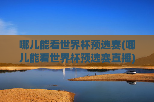 哪儿能看世界杯预选赛(哪儿能看世界杯预选赛直播)